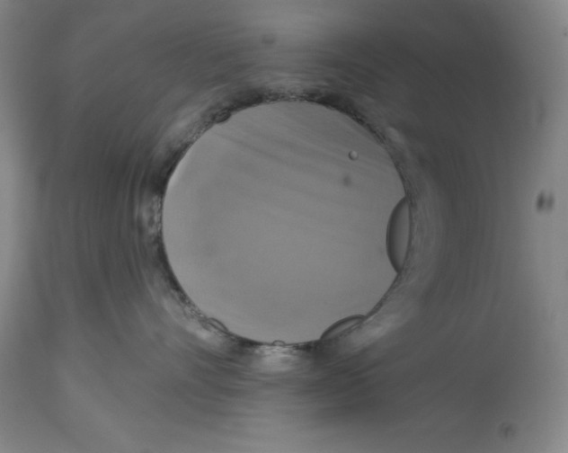 X0000114610528200911171038