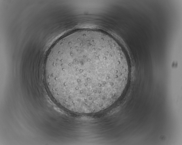 X0000114610529200911171037