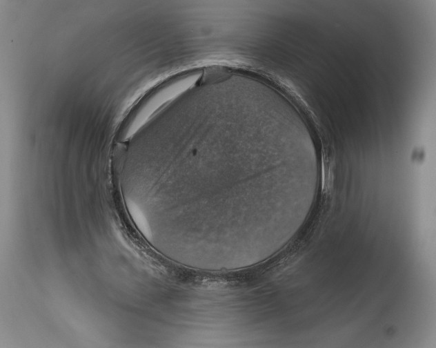 X0000114610531200911171037