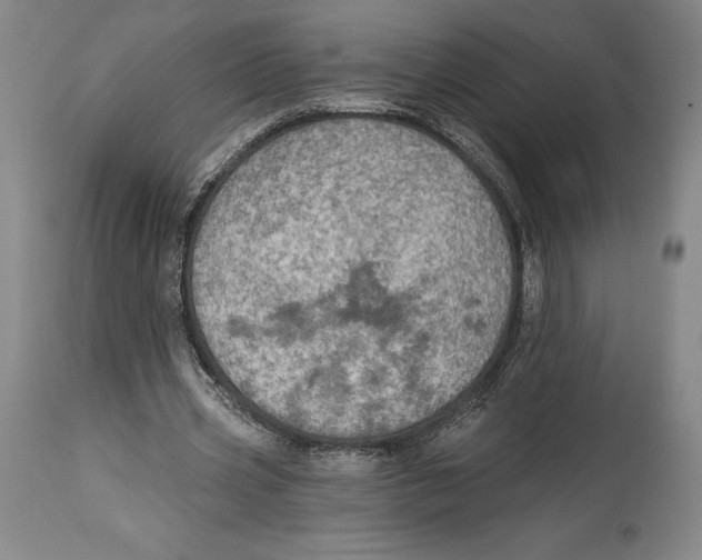 X0000114610533200911171037