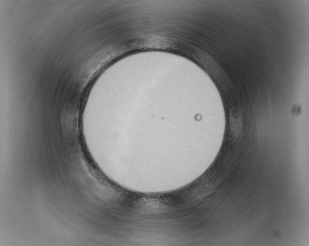 X0000114610534200911171037