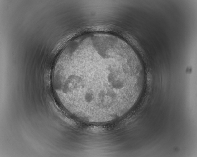 X0000114610537200911171037