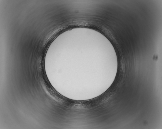 X0000114610538200911171037