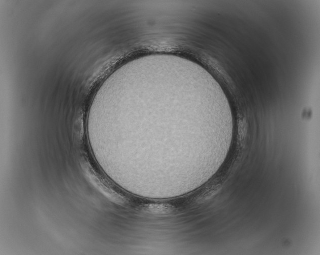 X0000114610541200911171037