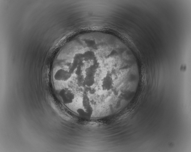 X0000114610542200911171037