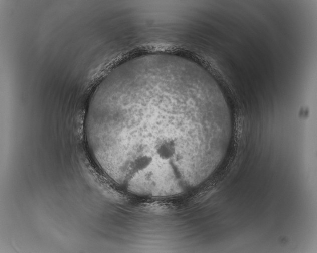 X0000114610545200911171037