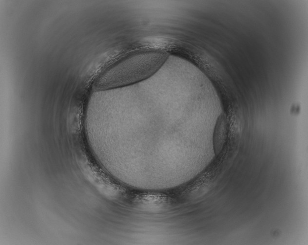 X0000114610546200911171037