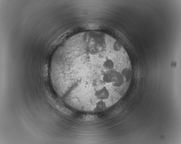 X0000114610549200911171037