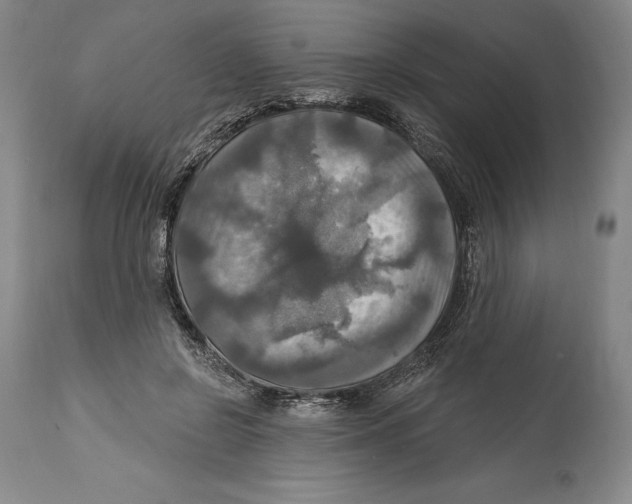 X0000114610550200911171037