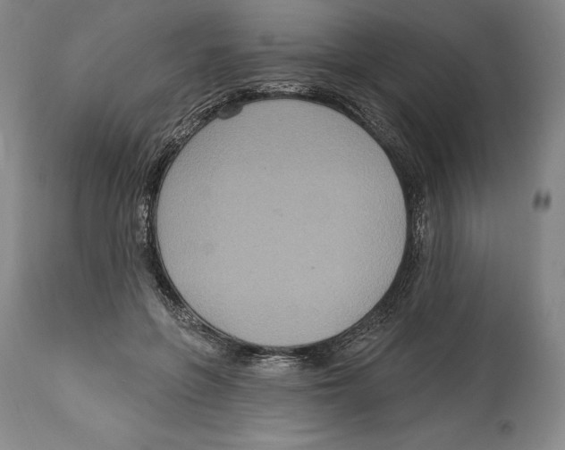 X0000114610551200911171037