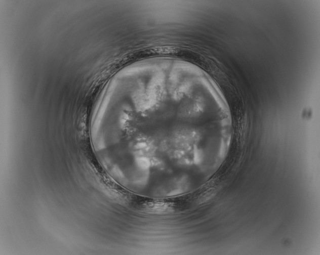 X0000114610553200911171037