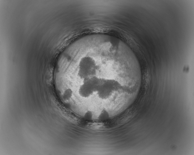 X0000114610554200911171037