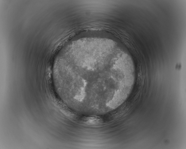 X0000114610555200911171037