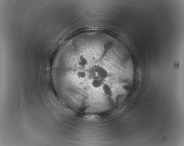 X0000114610557200911171037