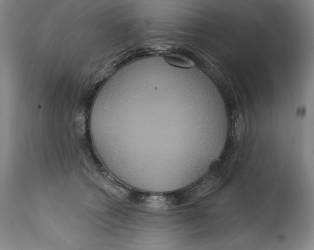 X0000114610562200911171037