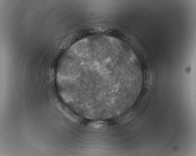 X0000114610563200911171037