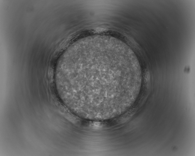 X0000114610565200911171037