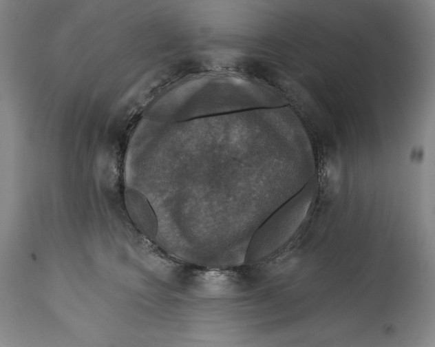 X0000114610566200911171037