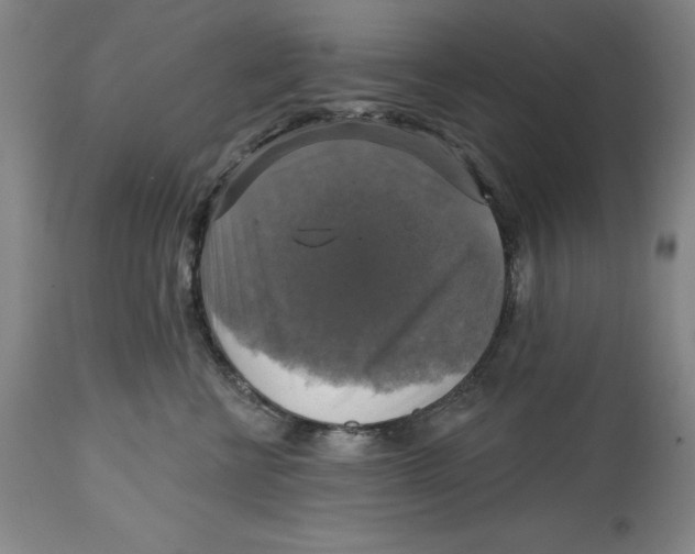 X0000114610570200911171038