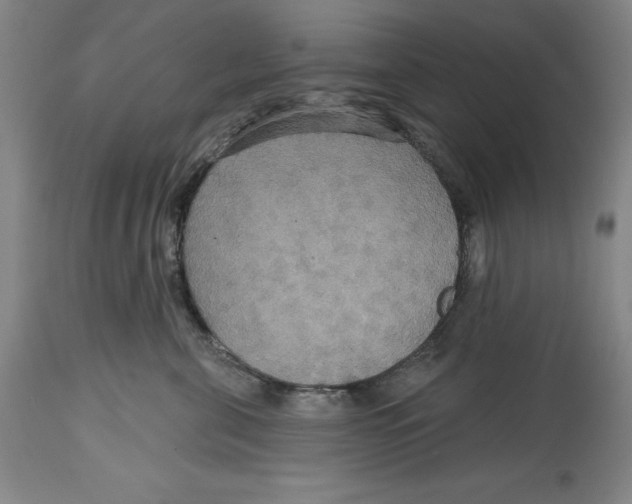 X0000114610571200911171038