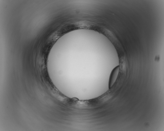 X0000114610573200911171038