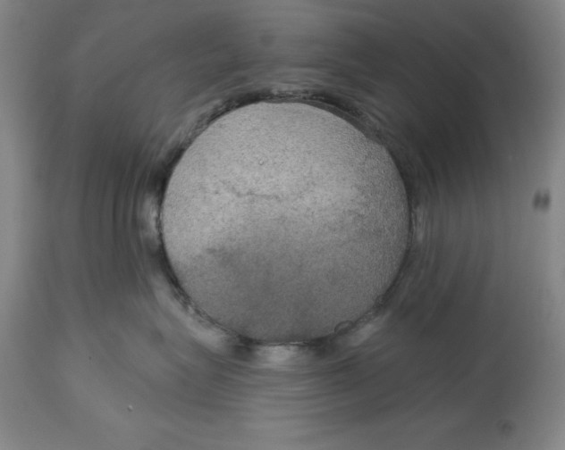 X0000114610575200911171038