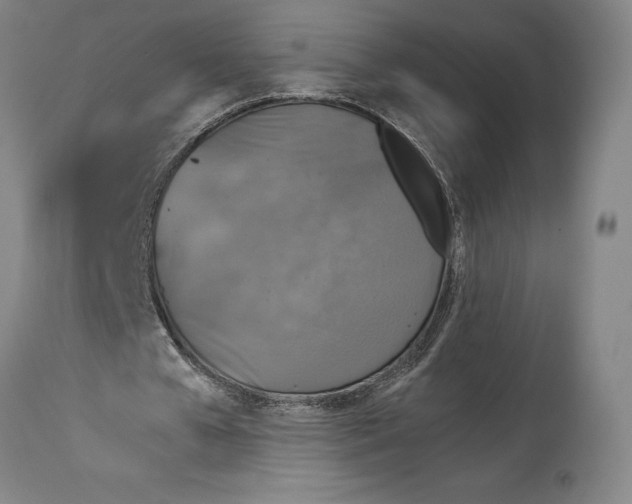 X0000114610577200911171037