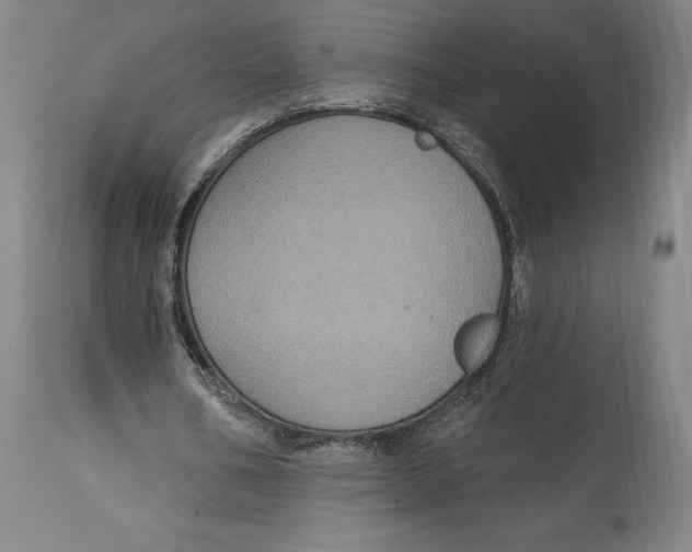 X0000114610578200911171037