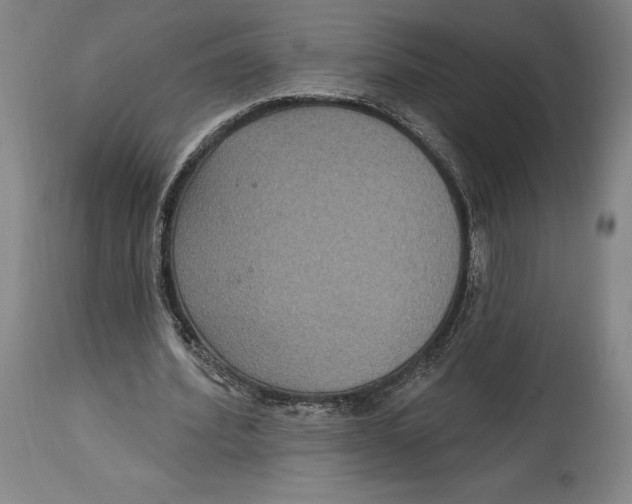 X0000114610580200911171037