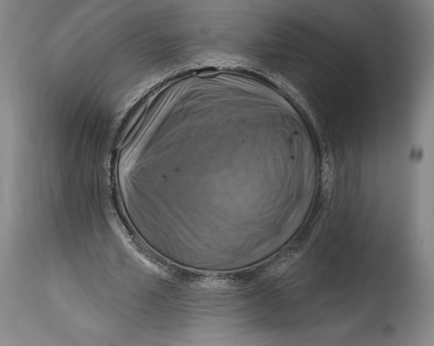 X0000114610581200911171037