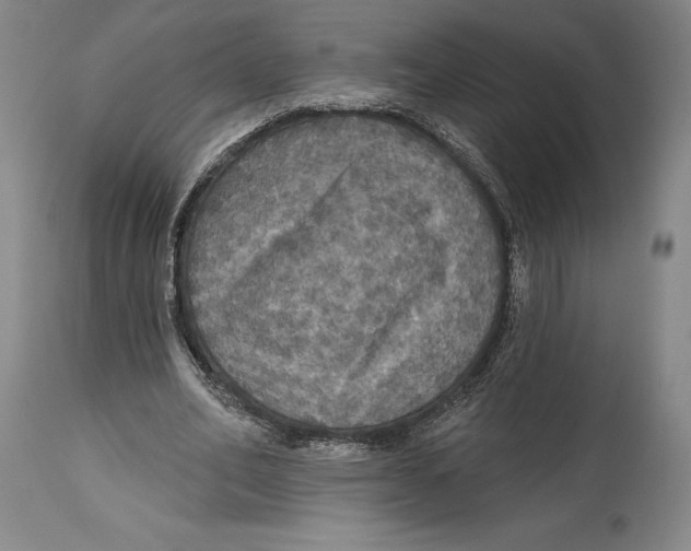 X0000114610582200911171037