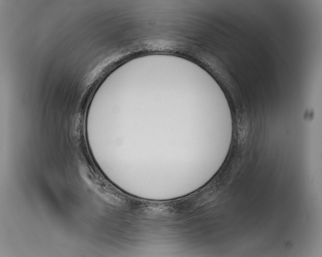 X0000114610583200911171037