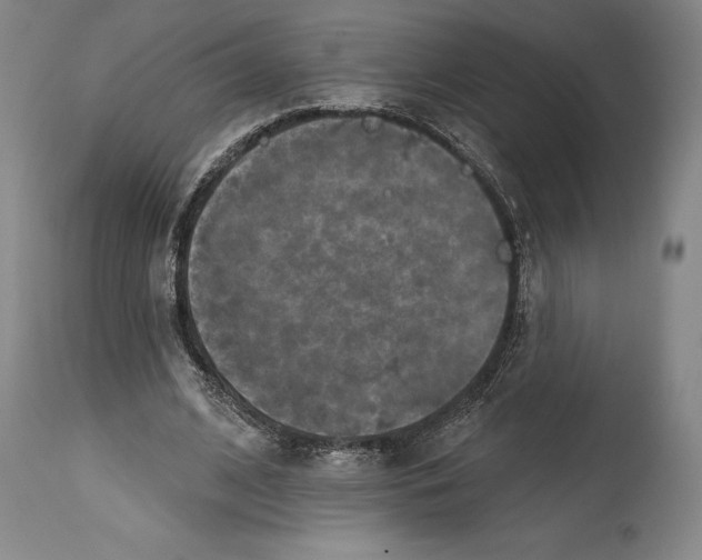 X0000114610584200911171037