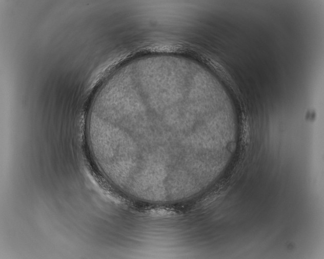 X0000114610586200911171037