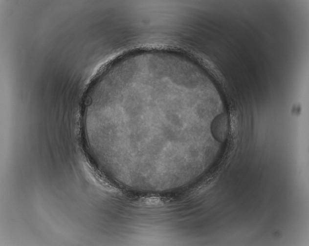 X0000114610588200911171037