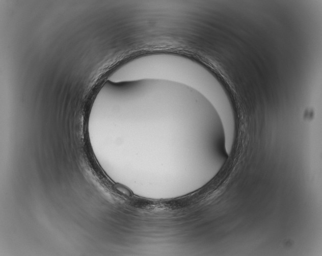 X0000114610589200911171037