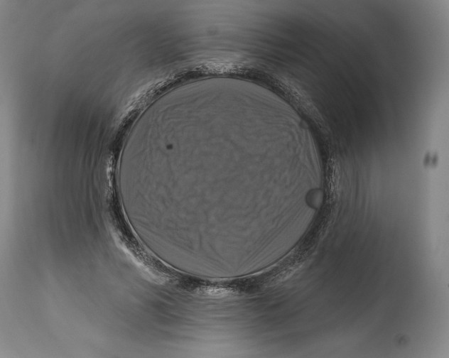 X0000114610590200911171037