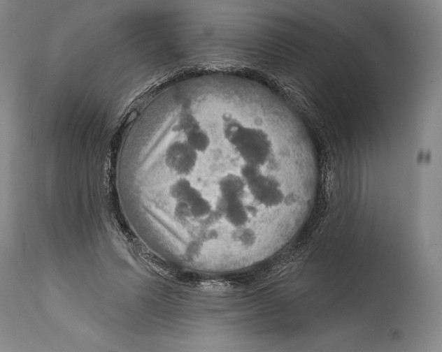 X0000114610591200911171037