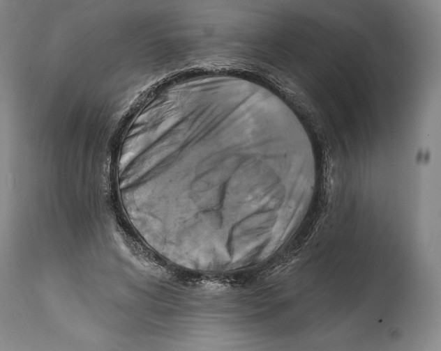 X0000114610592200911171037