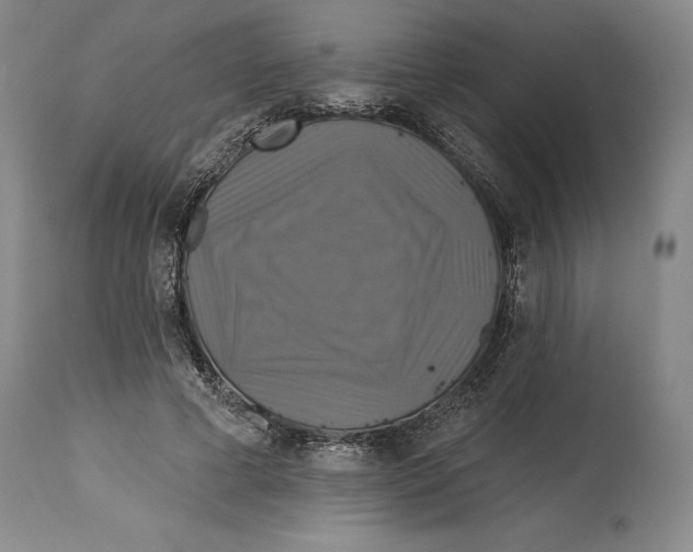 X0000114610593200911171037