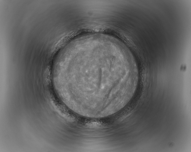 X0000114610594200911171037