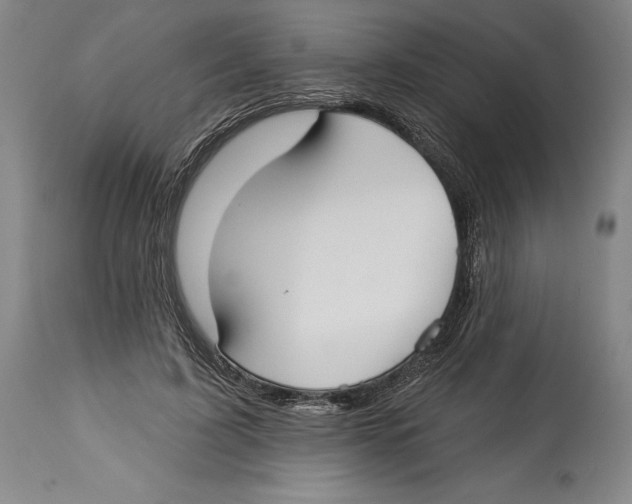 X0000114610595200911171037