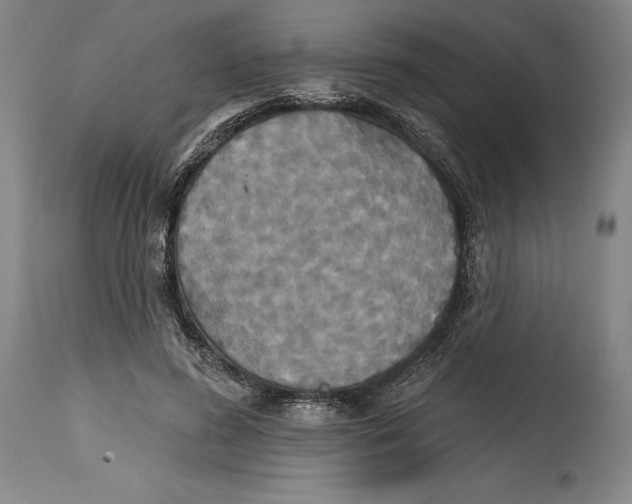 X0000114610596200911171037