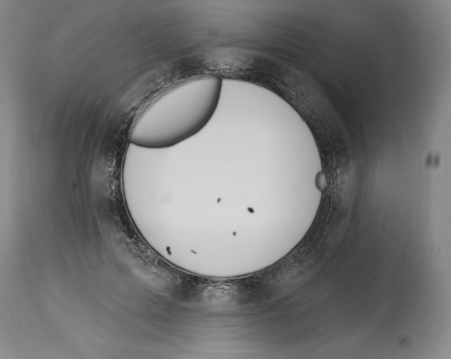 X0000114610599200911171036