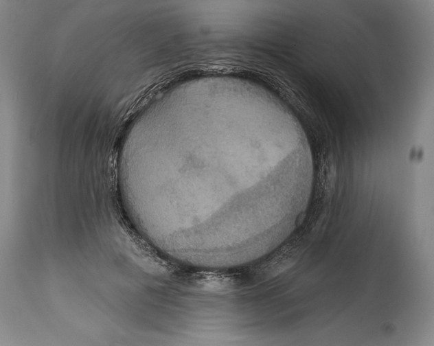 X0000114610601200911171036