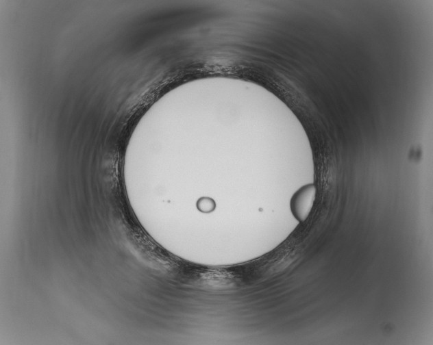 X0000114610603200911171036