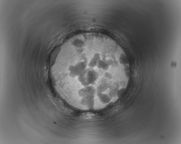 X0000114610607200911171036