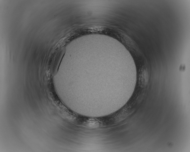 X0000114610608200911171036