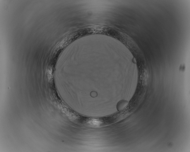 X0000114610610200911171036