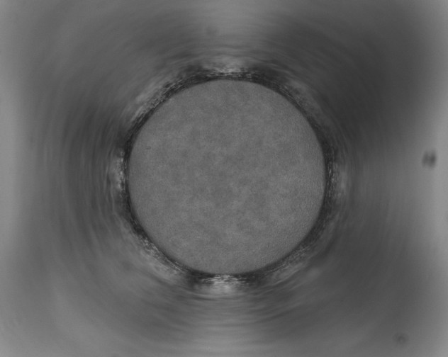 X0000114610612200911171036